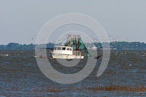 Fishing Boat off the Coast