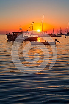 Fishing boat at the port of Umag