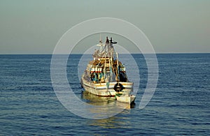 Fishing boat on red sea in egypt