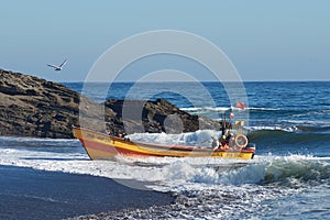 Fishing Boat Returns with the Catch