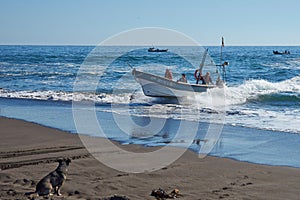 Fishing Boat Returns with the Catch