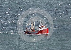 Fishing boat and seagull flock