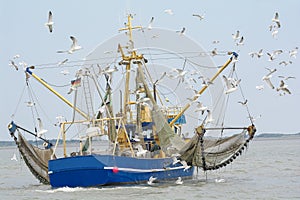 Fishing Boat with seagulls North Sea