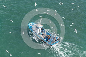 Fishing boat and seagulls in the sea. Top view