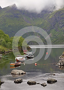 Fishing boat on a small fjord in Ãâ¦ village, Lofoten Islands