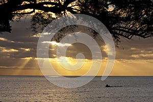 Fishing boat at sunset