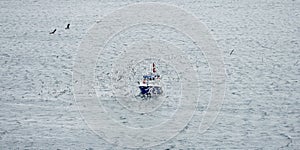 Fishing boat surrounded by sea gulls in Lofoten Archipelago, Norway, Europe