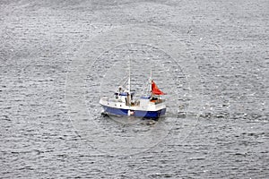 Fishing boat surrounded by sea gulls in Lofoten Archipelago, Norway, Europe