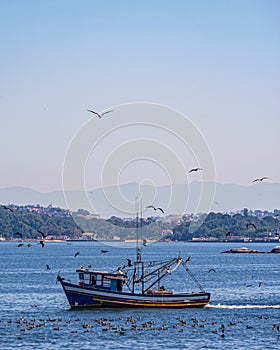 Fishing boat surrounded by seabirds in Guanabara Bay, Rio de Janeiro, Brazil