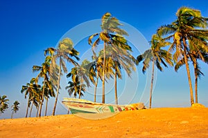 Fishing boat under palm trees on the Indian ocean