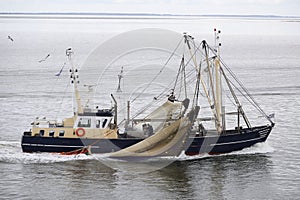 Fishing boat, Waddenzee, The Netherlands photo