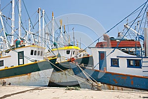 Fishing boats