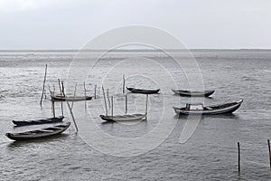 Fishing boats