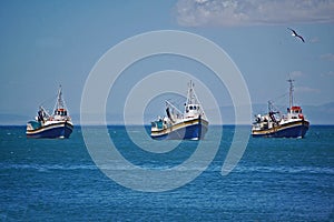 Fishing boats