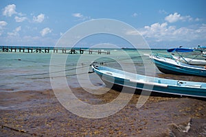 Fishing Boats