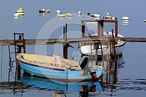 Fishing boats