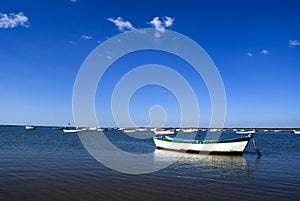 Fishing boats