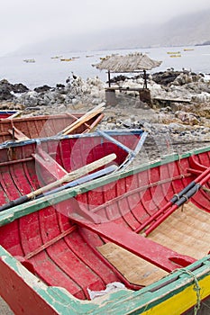 Fishing boats