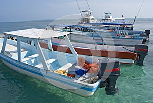 Fishing boats