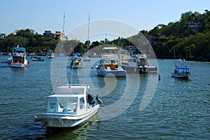 Fishing Boats