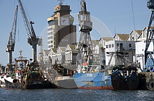 Fishing boats alongside in Cape Town Harbor South Africa