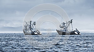 Fishing boats in the bay