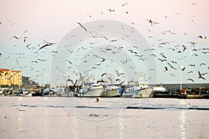 Fishing Boats At Bay