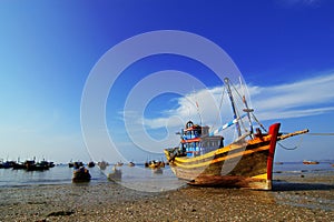 Sobre el Playa en 