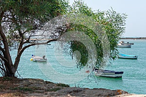 Fishing boats on the Cachucha beach in Puerto Real, Cadiz. Andalusia, Spain.