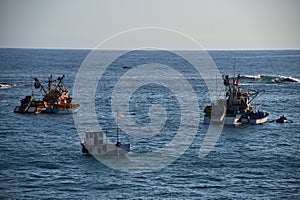 Fishing boats in Chala, Peru photo