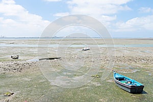 Fishing boats on the coast of the Bay of Puerto Real in Cadiz. Andalusia Spain. June 27, 2021