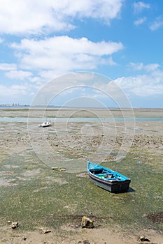 Fishing boats on the coast of the Bay of Puerto Real in Cadiz. Andalusia Spain. June 27, 2021