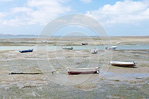 Fishing boats on the coast of the Bay of Puerto Real in Cadiz. Andalusia Spain. June 27, 2021