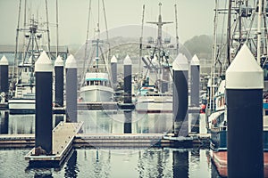 Fishing Boats in Crescent City Harbor on Foggy Day. California USA photo