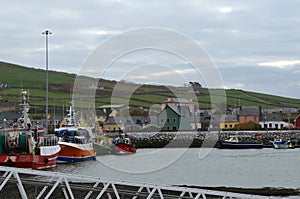 Fishing Boats in Dingle Harbor in Dingle Ireland