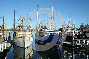 Fishing Boats At Dock