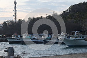 Fishing boats docked in the harbor
