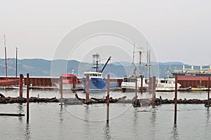 Astoria, Oregon - 9/17/17- fishing boats docked at harbor with sea lions resting on the docks