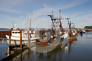 Fishing Boats, East Mooring Basin photo