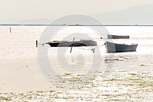 Fishing boats in the Ebro Delta, Catalonia, Spain