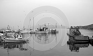 Fishing boats in an greek small harbor named Pachi in winter and