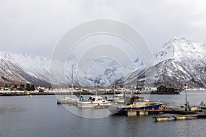 Fishing boats  at at Hadsel. Vesteralen islands Norway.