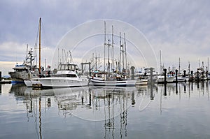 Fishing boats in a harbor