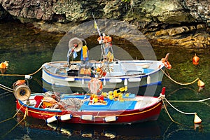 Fishing Boats in the Harbor - Liguria Italy