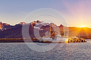 Fishing boats in harbor at midnight sun in Northern Norway, Lofoten Island, Ramberg, Norway