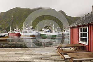 Fishing boats in harbour of Lofoten Islands Norway
