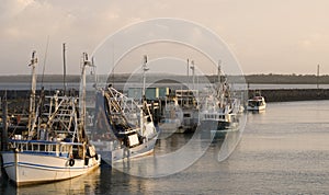 Fishing boats in Hervey Bay/Au