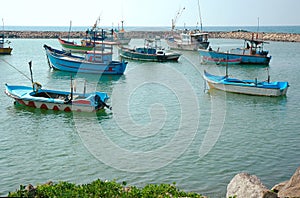 Fishing boats in Hikkaduwa photo