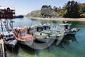 Fishing boats lined up at the Puerto Montt Fish Market where the catch is unloaded for sale.