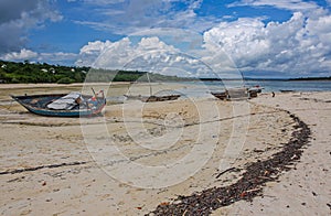 Fishing boats at low tide